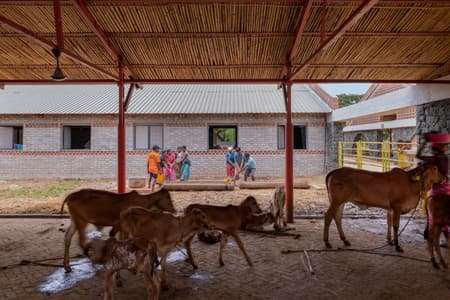 Gaughar Animal Husbandry